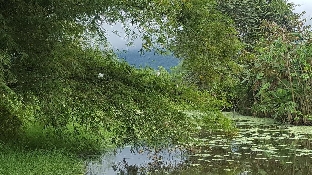 Hospedaje La Galerie Ciudad Cortés 외부 사진